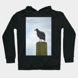 Turkey Vulture of Calabash Hoodie